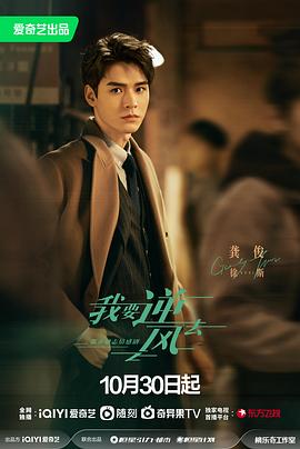 惠州seo网络优化店